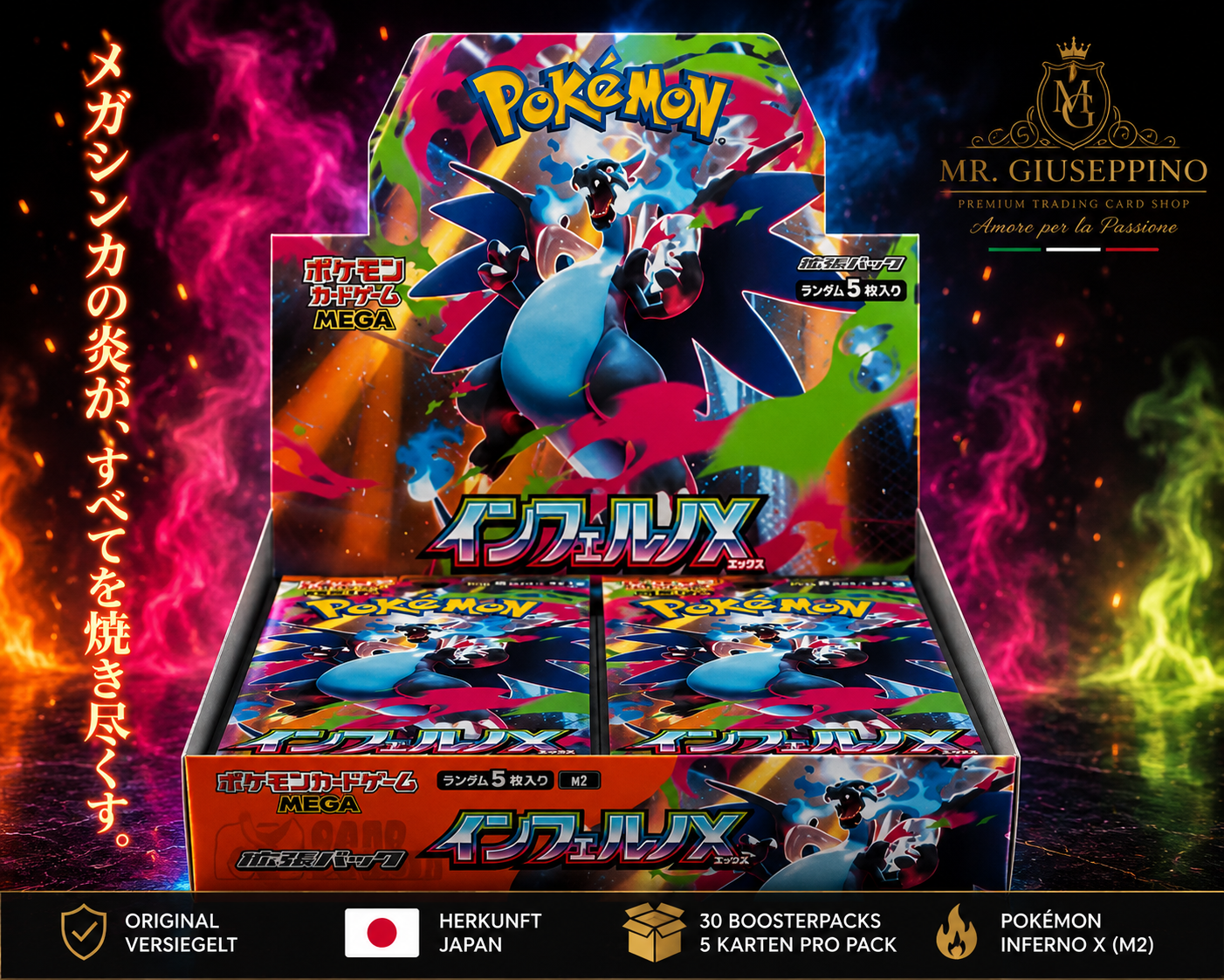 Pokemon Inferno X (M2) Display JPN